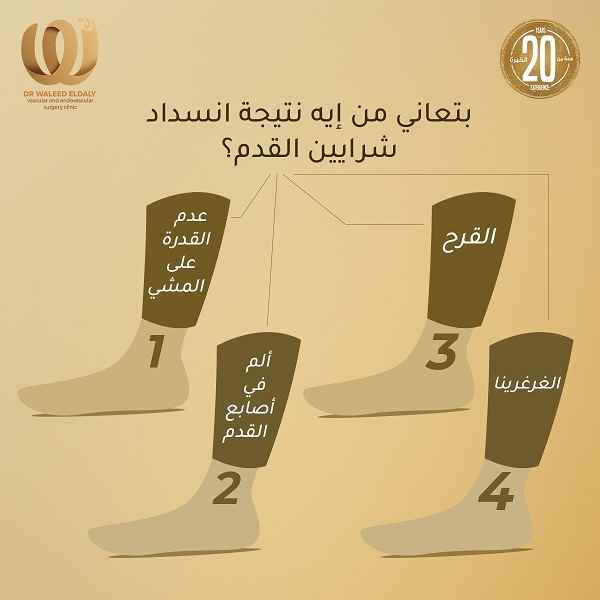 شرايين القدم