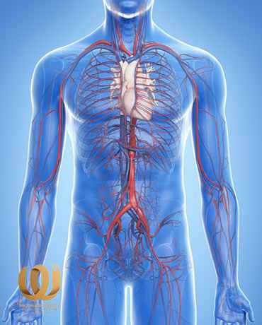 Aortic Aneurysm Symptoms, Causes and Treatment